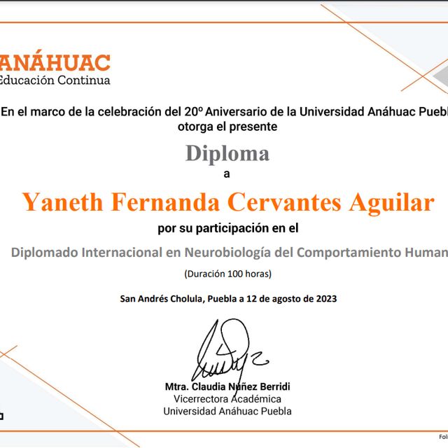 Ampliar imagen: certificate 2