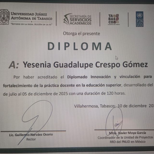 Ampliar imagen: certificate 2