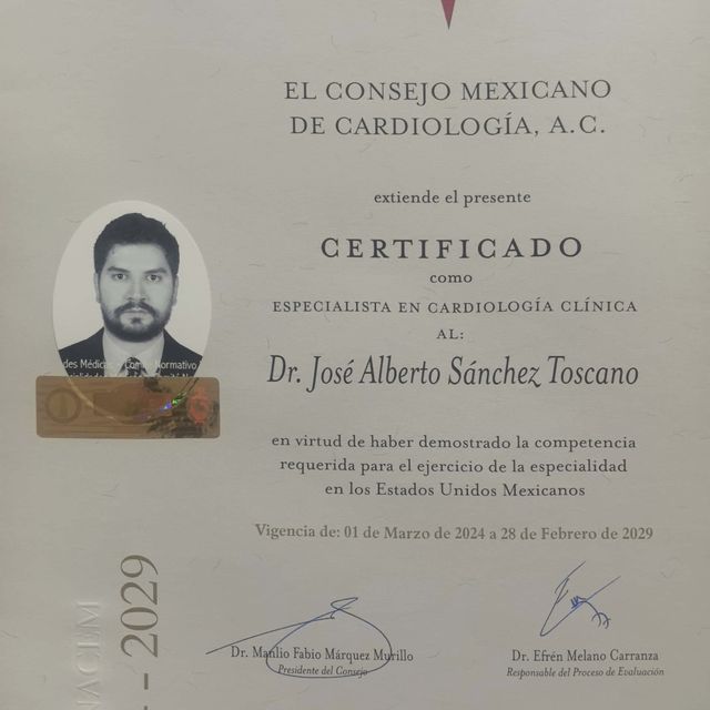 Ampliar imagen: certificate 1
