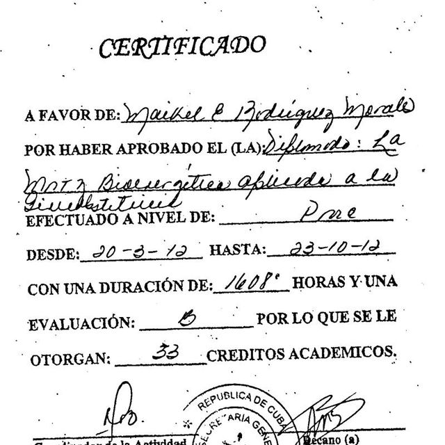 Ampliar imagen: certificate 6