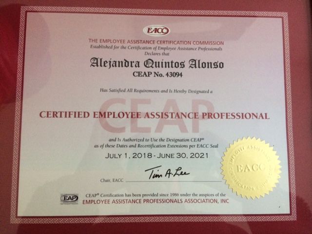 Ampliar imagen: certificate 3