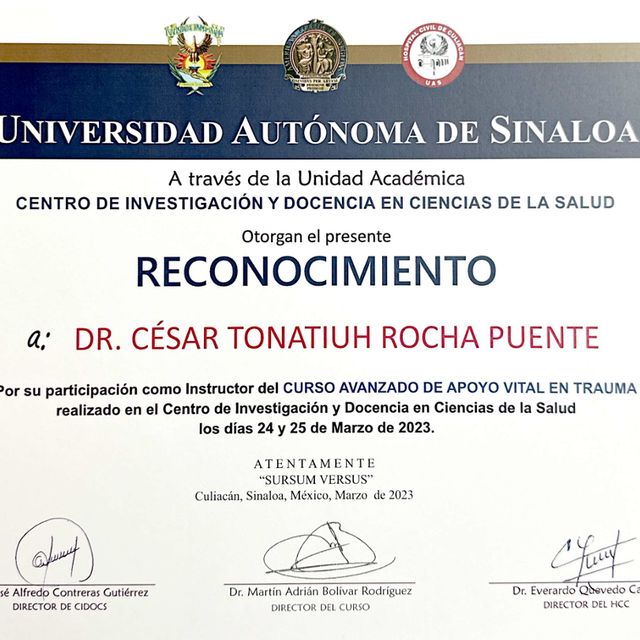 Ampliar imagen: certificate 83