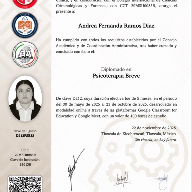 Ampliar imagen: certificate 3