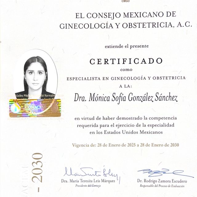 Ampliar imagen: certificate 1