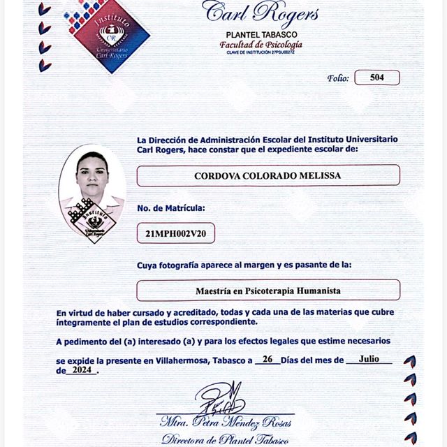Ampliar imagen: certificate 2