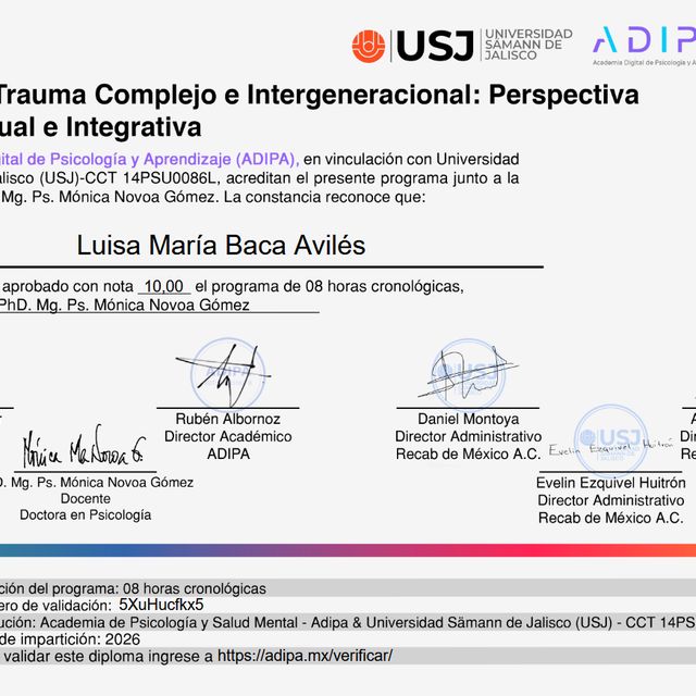 Ampliar imagen: certificate 5