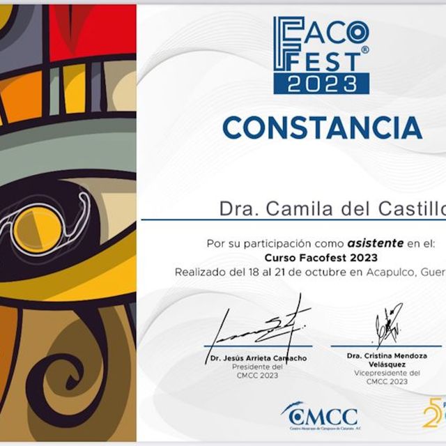 Ampliar imagen: certificate 4