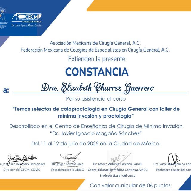 Ampliar imagen: certificate 5