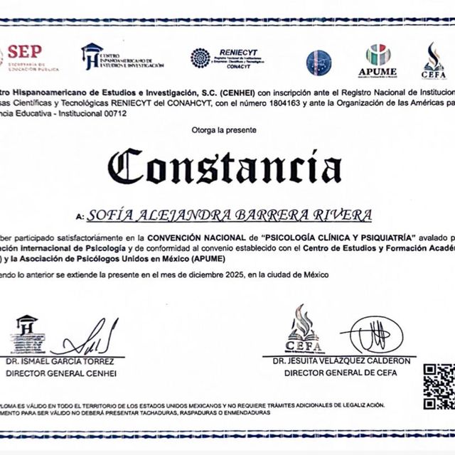 Ampliar imagen: certificate 7