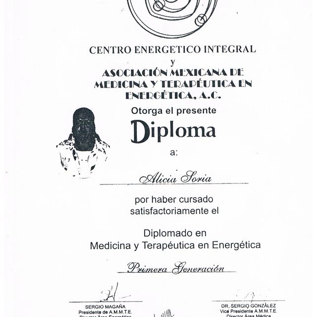 Ampliar imagen: certificate 13