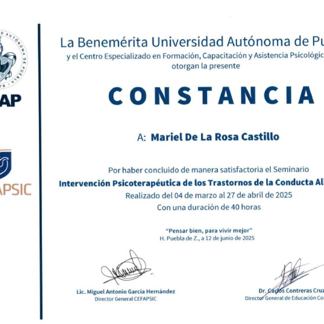 Ampliar imagen: certificate 9