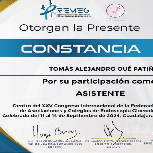 Ampliar imagen: certificate 4