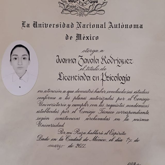 Ampliar imagen: certificate 1