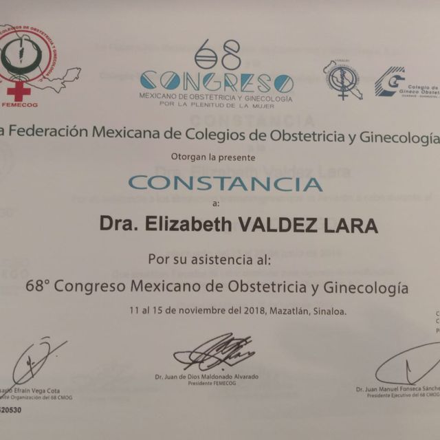 Ampliar imagen: certificate 14