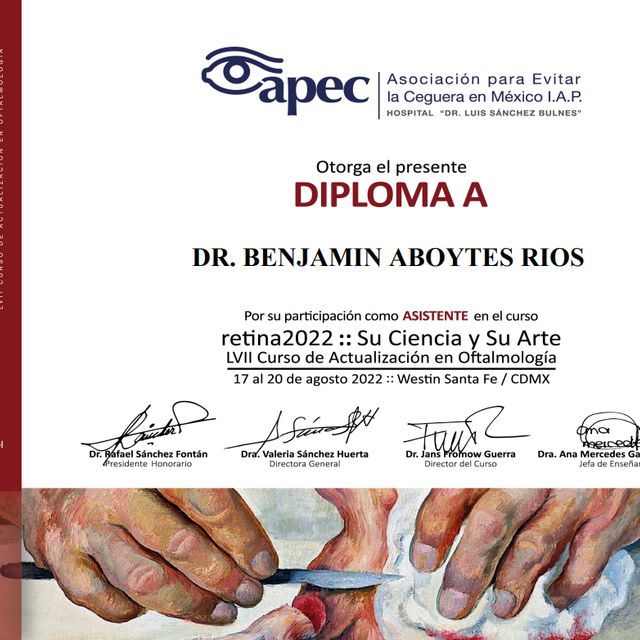 Ampliar imagen: certificate 6