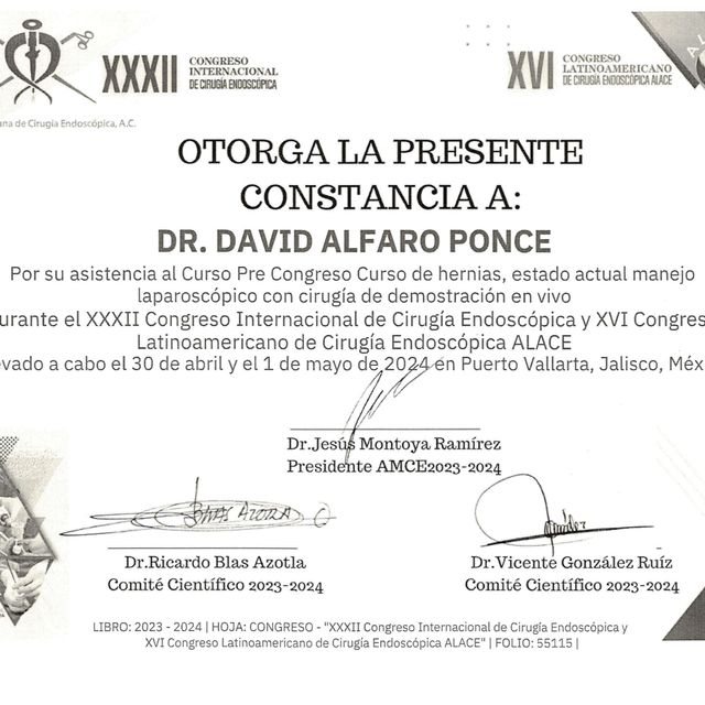 Ampliar imagen: certificate 5