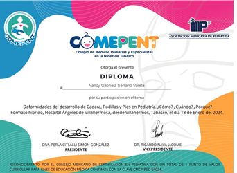 Ampliar imagen: certificate 4