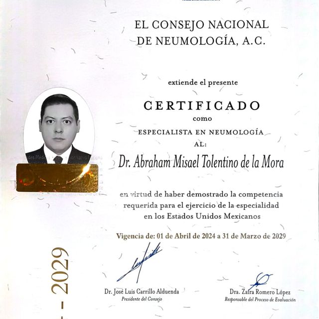 Ampliar imagen: certificate 1
