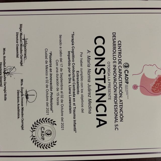 Ampliar imagen: certificate 3