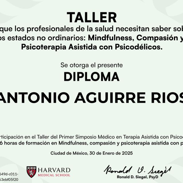 Ampliar imagen: certificate 8