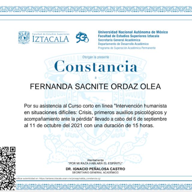 Ampliar imagen: certificate 4
