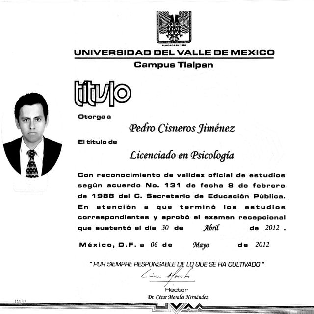 Ampliar imagen: certificate 1