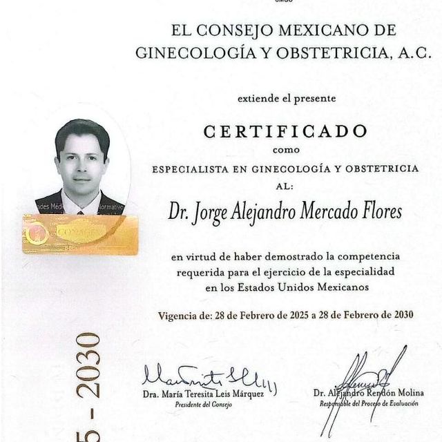 Ampliar imagen: certificate 1