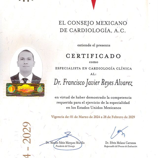 Ampliar imagen: certificate 3