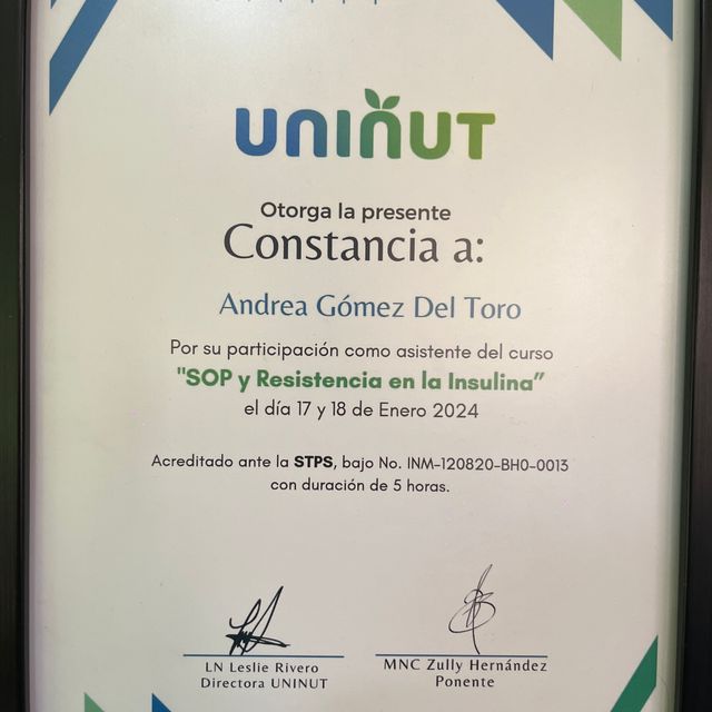 Ampliar imagen: certificate 2