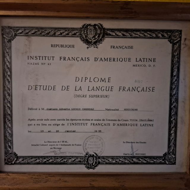 Ampliar imagen: certificate 6