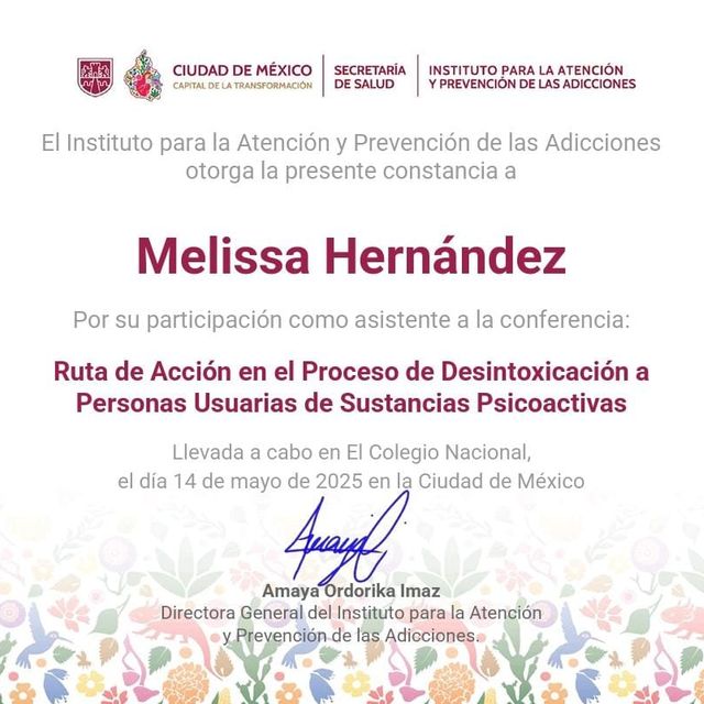 Ampliar imagen: certificate 5
