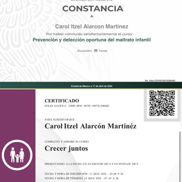 Ampliar imagen: certificate 5