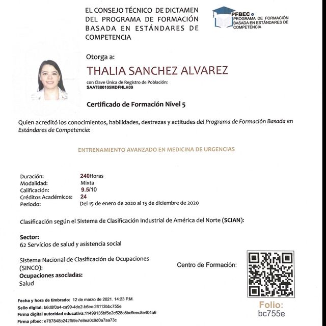 Ampliar imagen: certificate 3