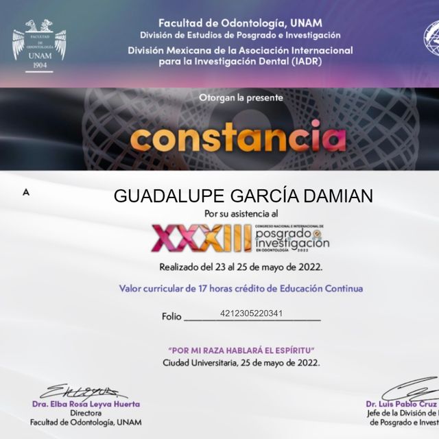 Ampliar imagen: certificate 1