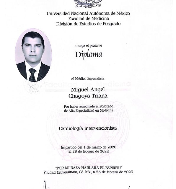 Ampliar imagen: certificate 7