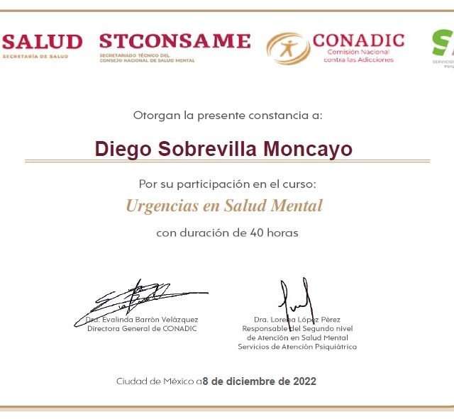 Ampliar imagen: certificate 14