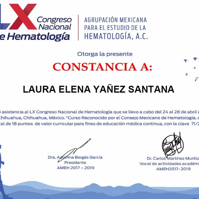Ampliar imagen: certificate 5