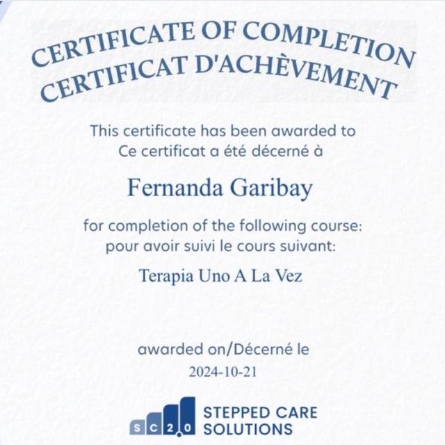 Ampliar imagen: certificate 2