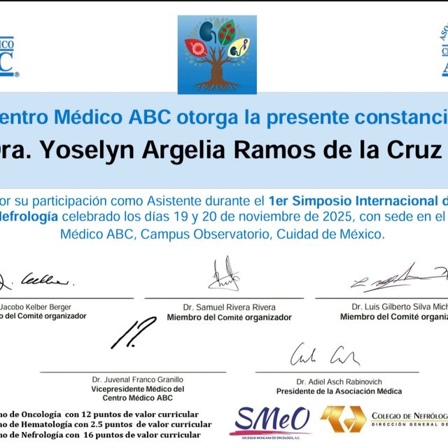 Ampliar imagen: certificate 16