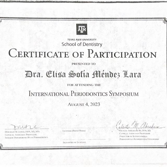 Ampliar imagen: certificate 2
