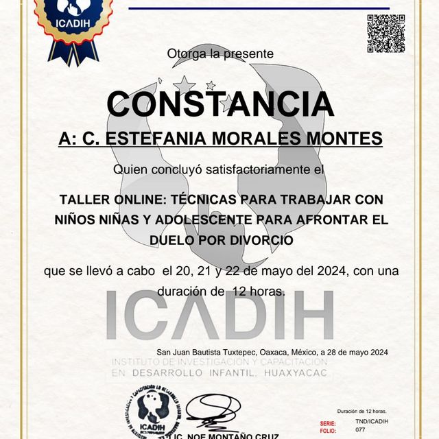Ampliar imagen: certificate 2