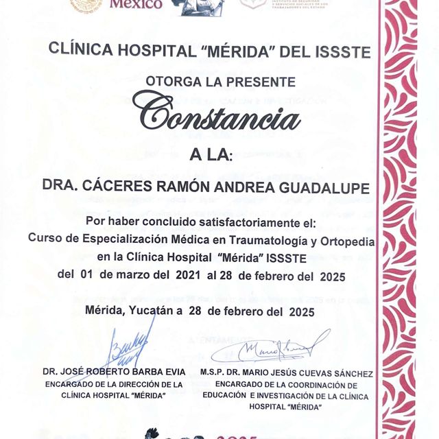 Ampliar imagen: certificate 1