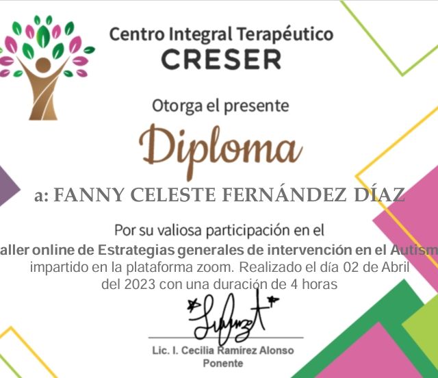 Ampliar imagen: certificate 9