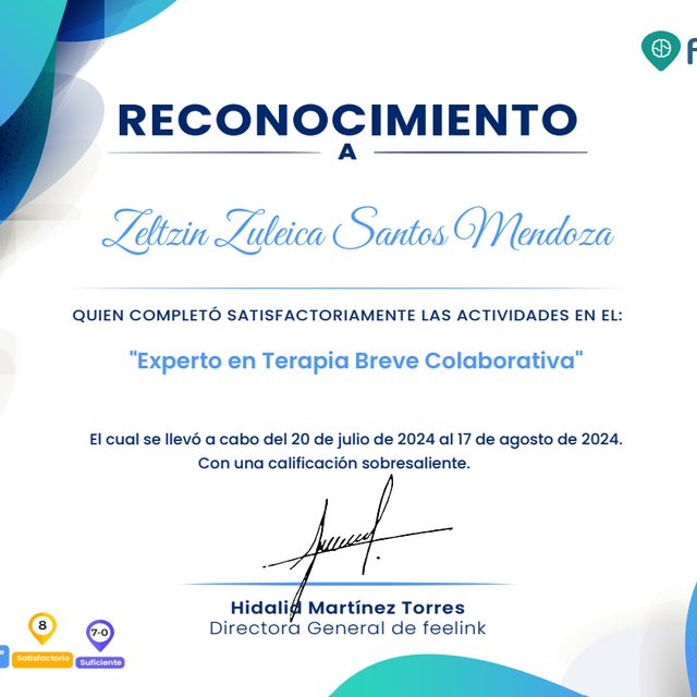 Ampliar imagen: certificate 7