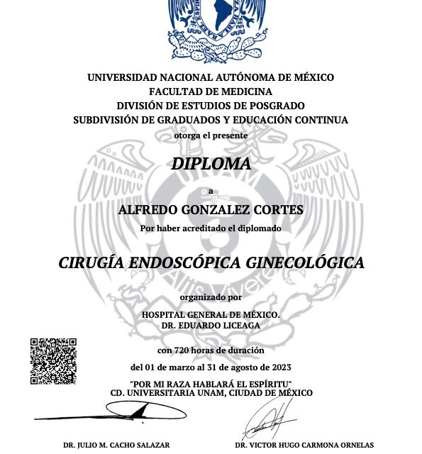 Ampliar imagen: certificate 7