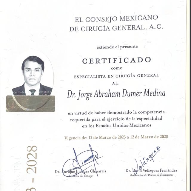 Ampliar imagen: certificate 1