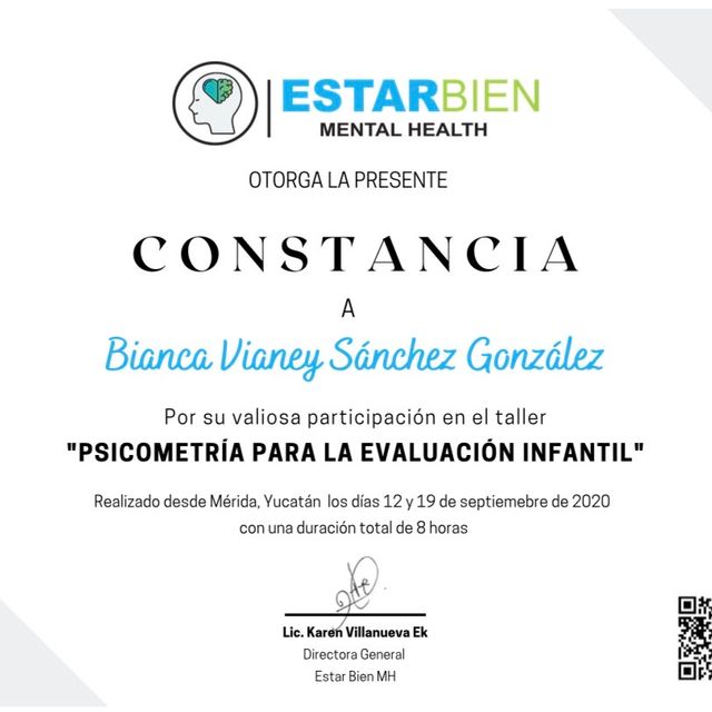 Ampliar imagen: certificate 17