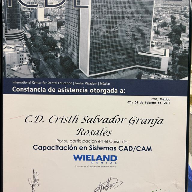 Ampliar imagen: certificate 3