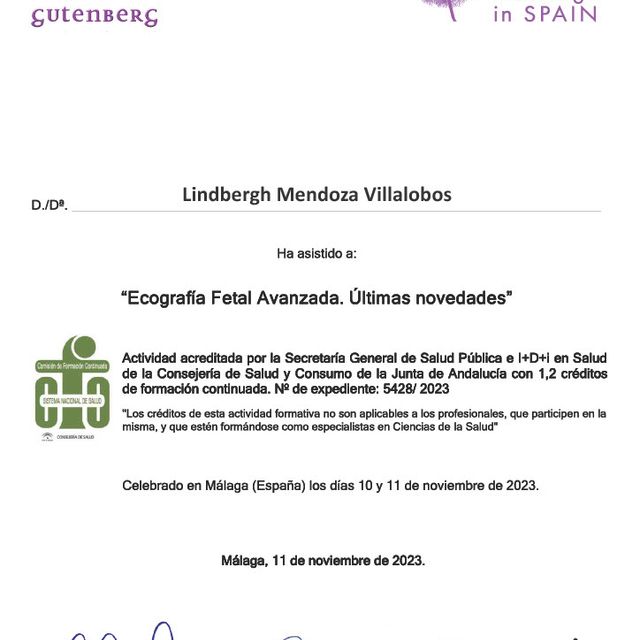 Ampliar imagen: certificate 1