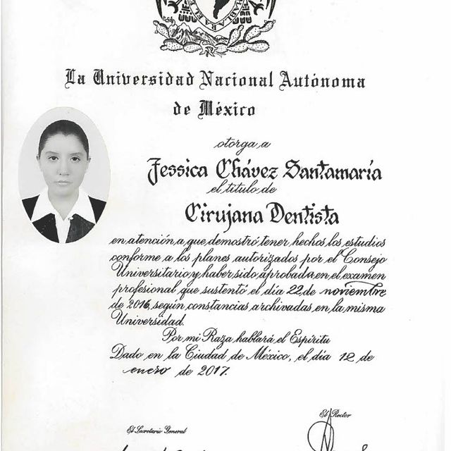 Ampliar imagen: certificate 1